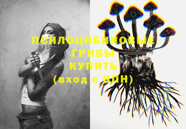 PSILOCYBIN Покров